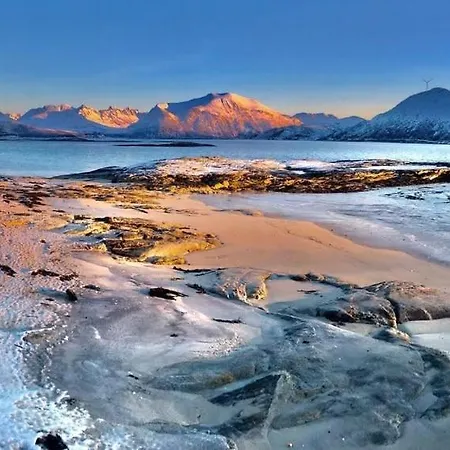 Капсульный отель Eazy-bed Norway's Smallest *